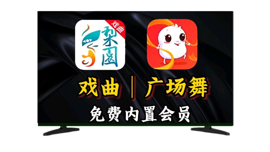 糖豆广场舞mp4免费挂机辅助截图
