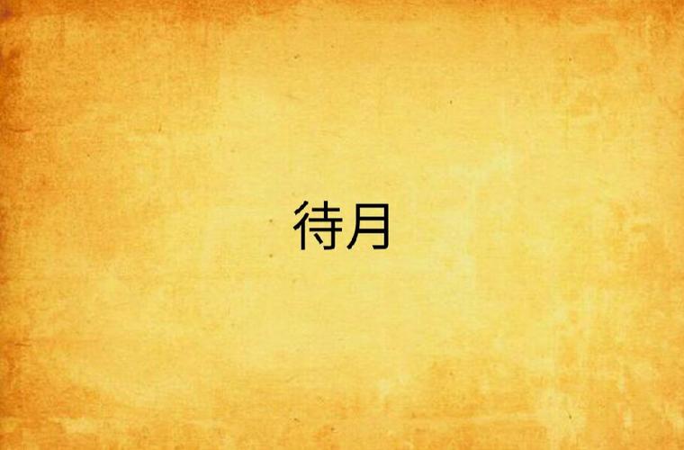 待月小说图标
