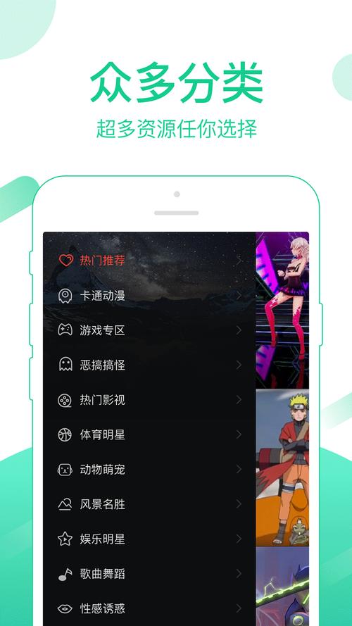 火萤视频桌面app安装最新版本更新内容汉化版截图