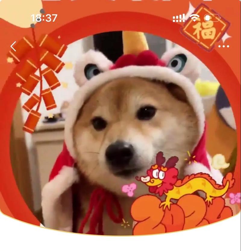 我的狗狗特牛红包版无限阅读截图