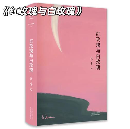 红玫瑰与白玫瑰阅读提米版截图
