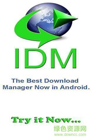 IDM截图