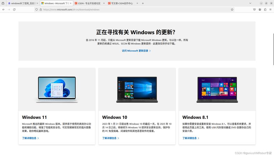 windows官网补丁永久免费截图