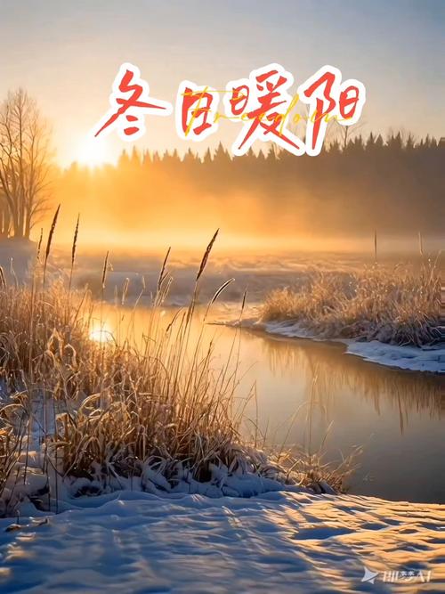 初冬暖阳安卓直装版纯净版截图