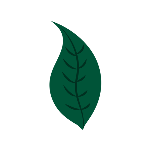树叶漫画app最新tv版截图