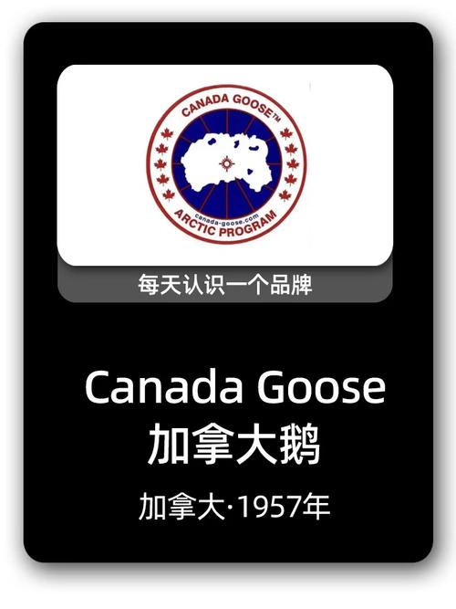 大鹅短视频截图