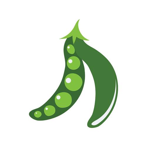 豌豆直装科技缩略图