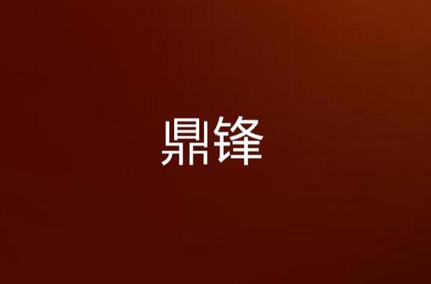 鼎锋影视截图