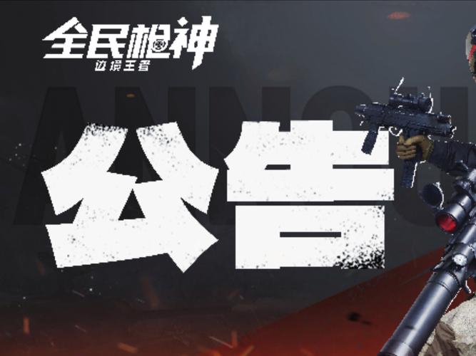 全民枪神边境王者辅助