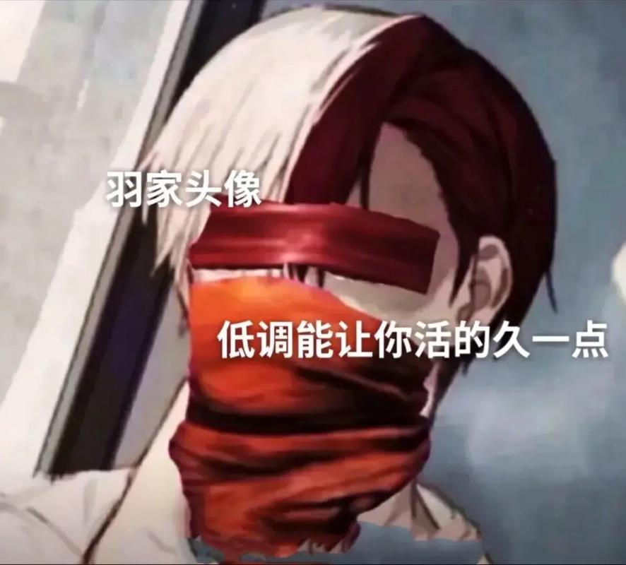少羽美化包测试新版截图