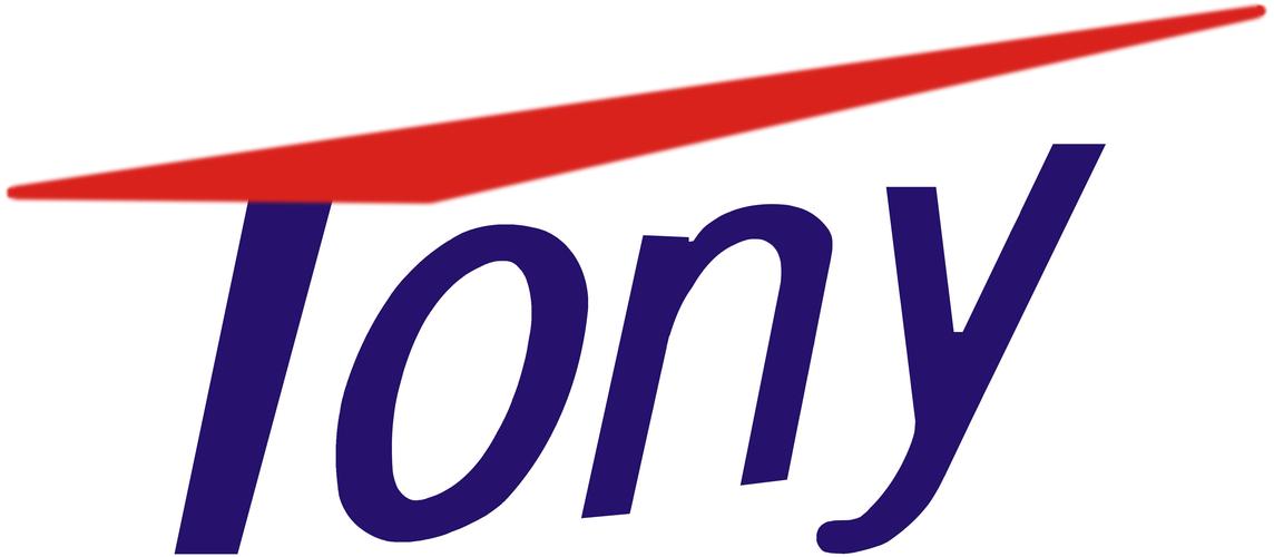 TONYTORAN截图