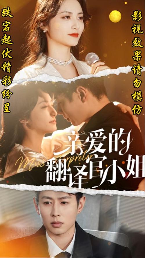 短剧亲爱的翻译官小姐在线观看截图