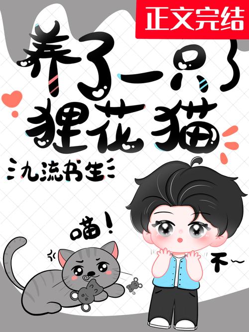 花猫小说最新版免费观看截图