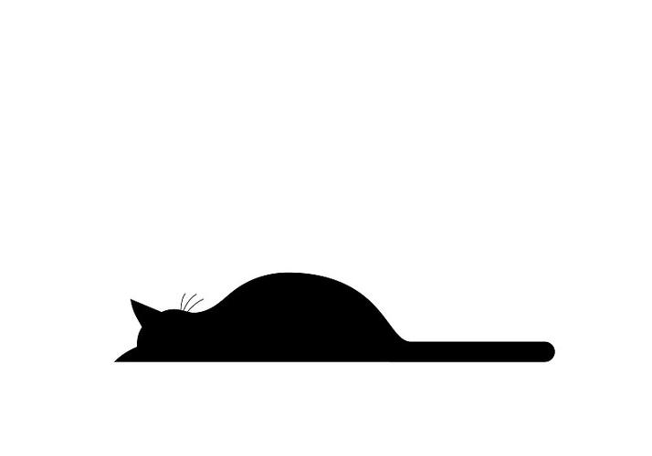 睡着的小猫咪无广告版图标