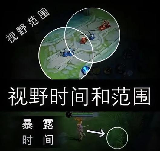 王者荣耀视野外挂截图