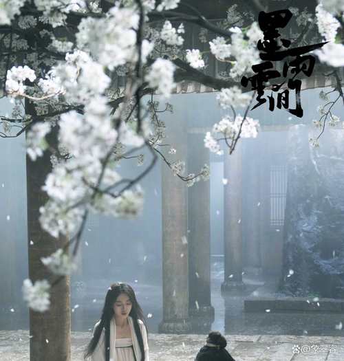 魔法少女的夏天冷狐版截图