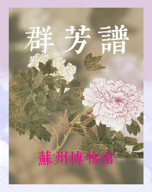 群芳谱赚钱手机版截图