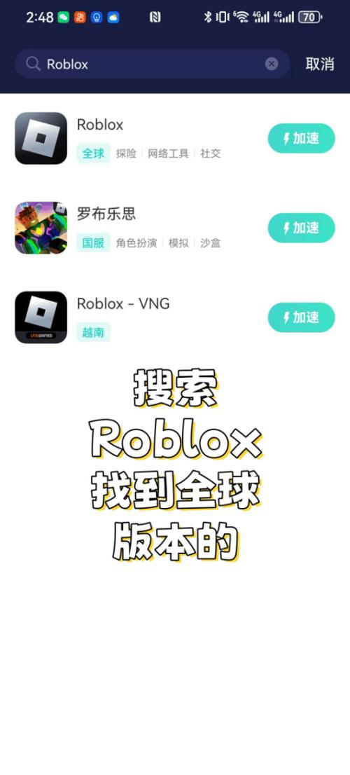罗布乐思外挂版去广告破解版升级截图