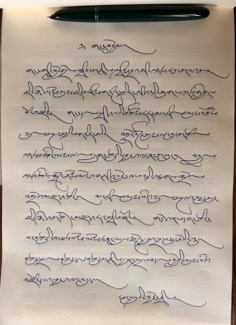 藏文作业一拍秒出答案手机在线观看图标