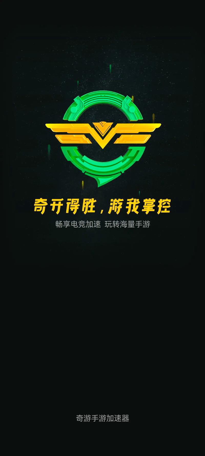 奇游加速器v297游戏截图