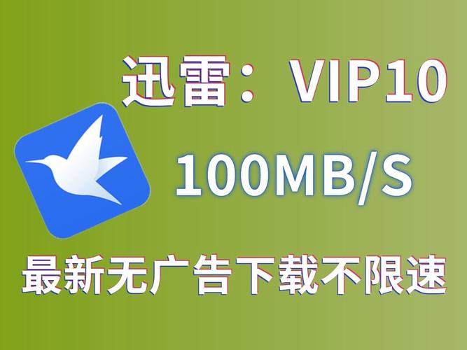 迅雷加速器永久vip版游戏截图