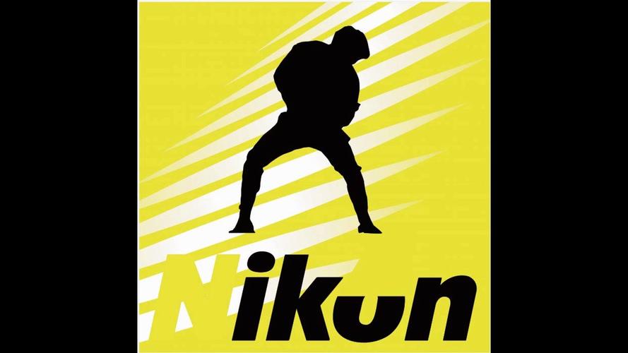 ikun直装公益