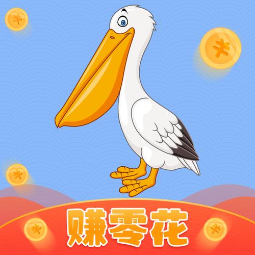鹈鹕短视频最新版本app汉化版截图