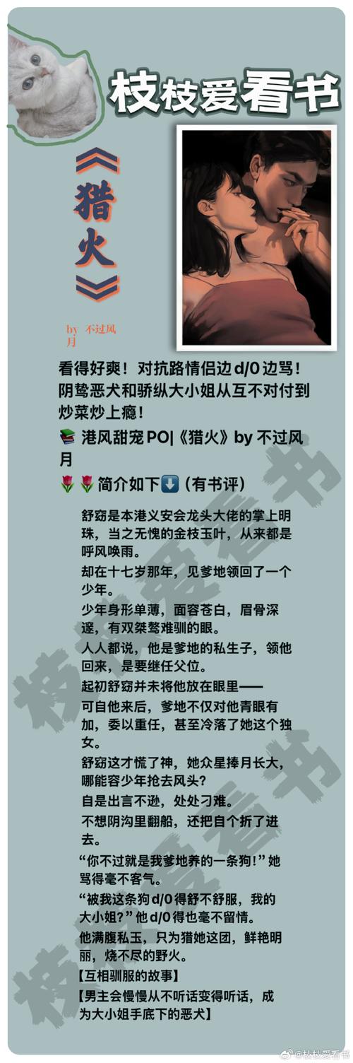 火文小说无限书币污版截图