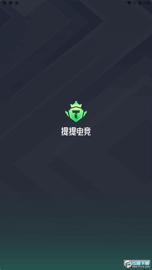提提电竞完美版截图