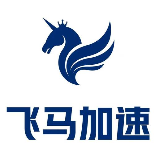 飞马加速器破解版缩略图