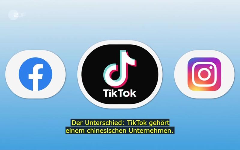 国际版tiktok色板免费截图