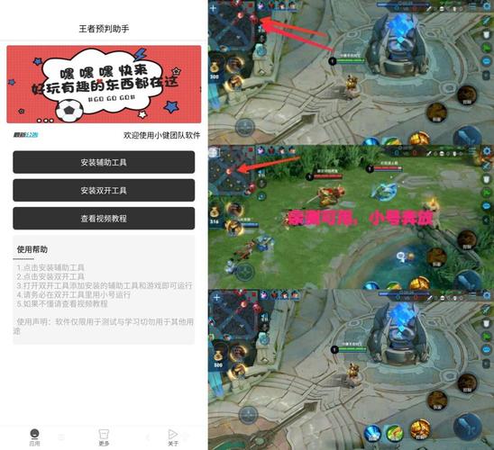 王者透视辅助器免费版净化版截图
