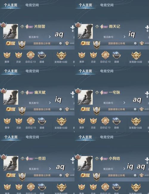 王者荣耀超长昵称复制大全免费正版截图