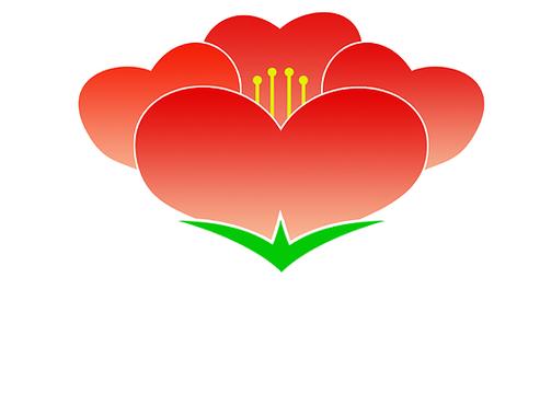 海棠网页版。截图