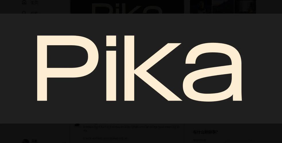 pika.art软件截图
