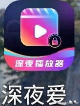 免费18款深夜入口v安卓版截图