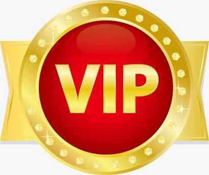 定制v美化包vip橙色版截图