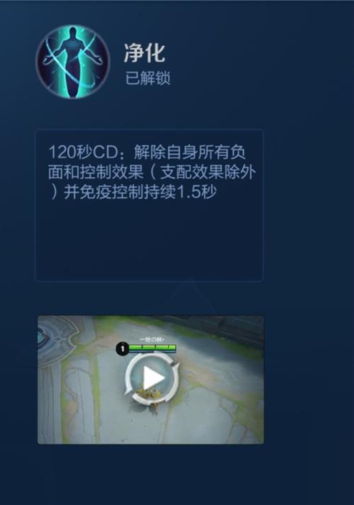 王者荣耀内置菜单单机版净化版截图