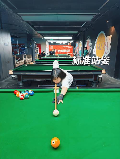台球辅助器延长线免费视频永久缩略图