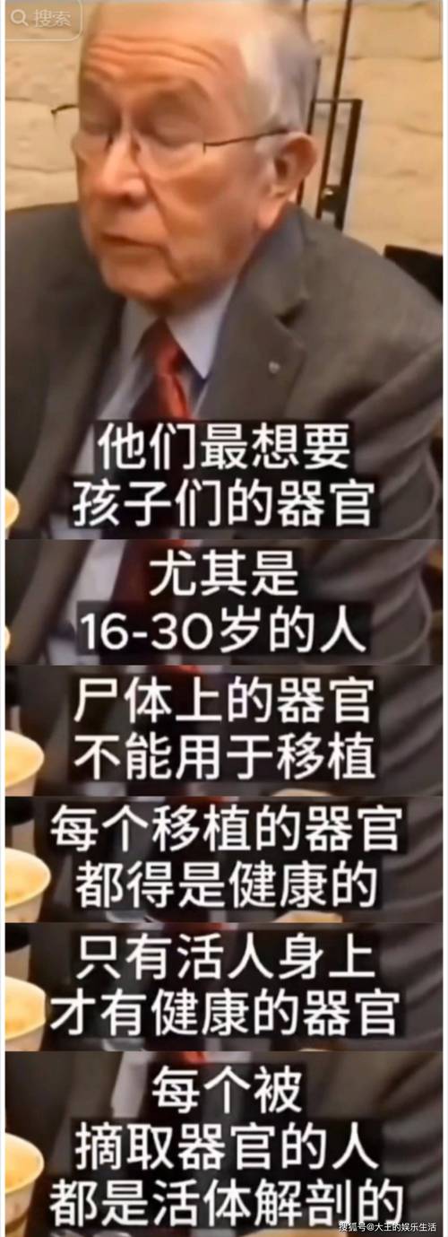 萝莉岛ppt破解版截图