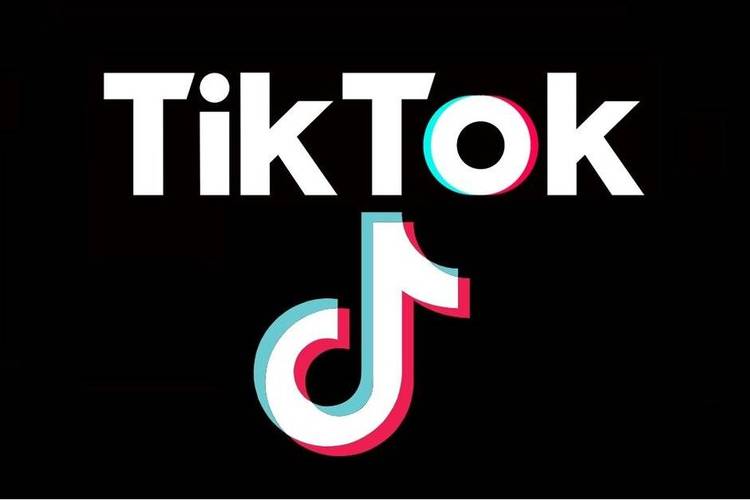 tiktok官方网站登录入口截图