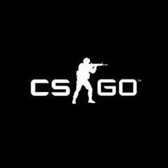 csgo反恐精英全球攻势单机版截图