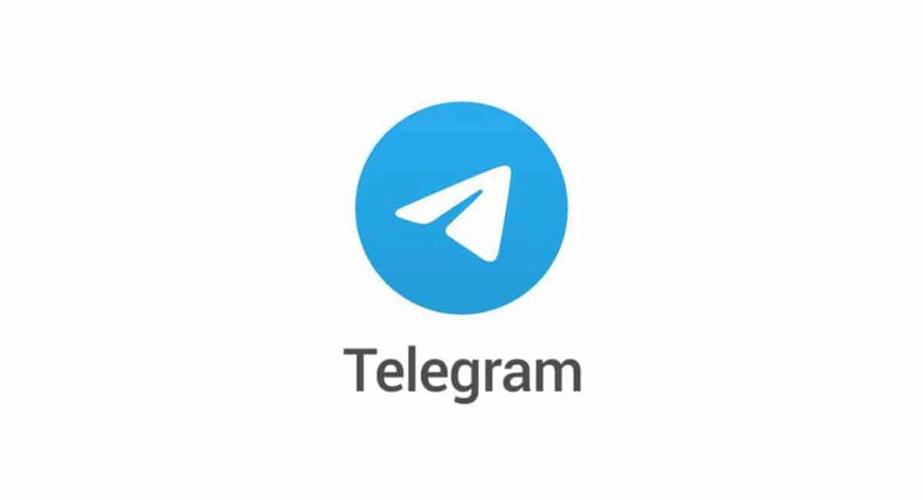 telegeram中文版安卓真人版截图