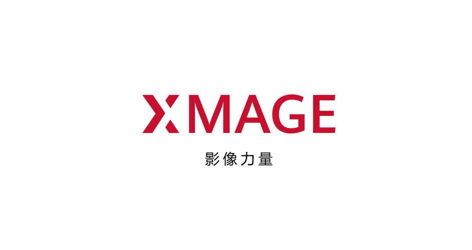 中国X站免费版截图