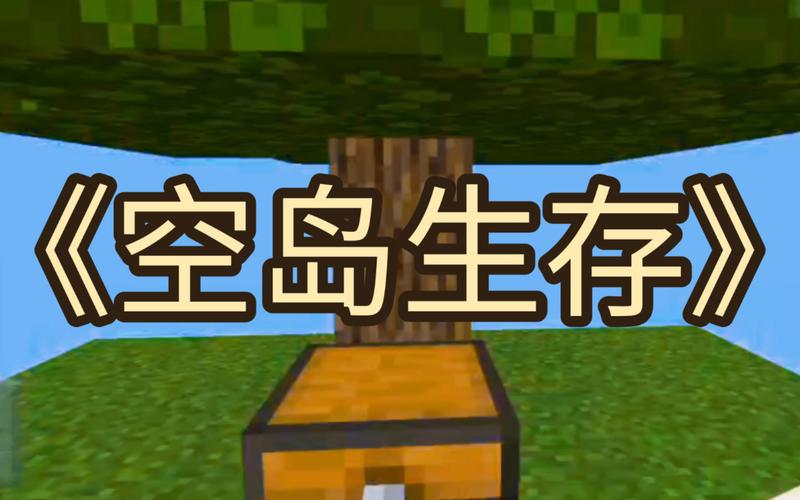 双人空岛生存100天经典版截图