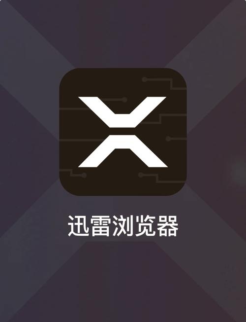 比迅雷好用的神器截图