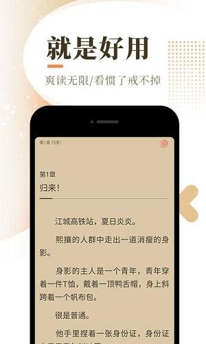 泰山小说app免费最新无限金币版截图