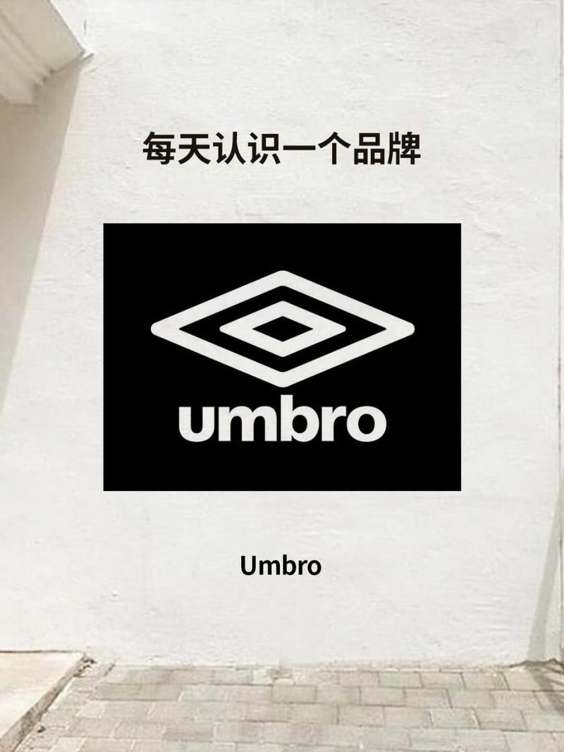 porumb电脑版免广告破解版截图