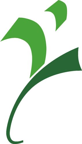 鬼头科技外挂最新版彩色截图