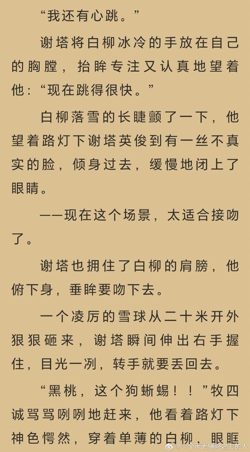 落疤罗恕小说免费TXT截图